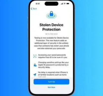 平湖苹果授权维修店分享被盗设备保护功能开启方法 