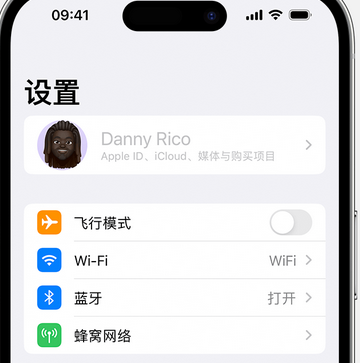 平湖appleID维修服务iPhone设置中Apple ID显示为灰色无法使用