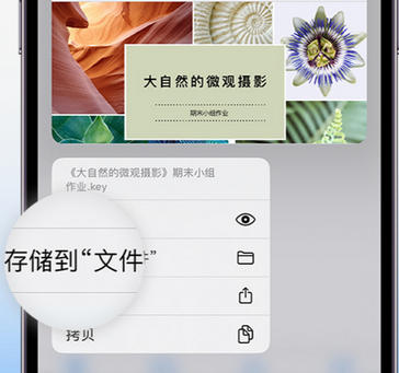 平湖apple维修中心分享iPhone文件应用中存储和找到下载文件