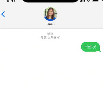 平湖apple维修iPhone上无法正常发送iMessage信息