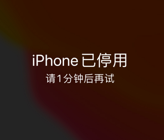 平湖苹果手机维修分享:iPhone 显示“不可用”或“已停用”怎么办？还能保留数据吗？ 