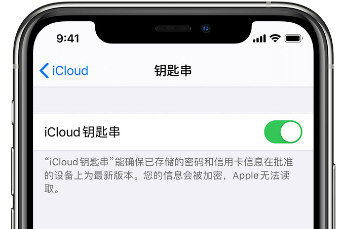 平湖苹果手机维修分享在 iPhone 上开启 iCloud 钥匙串之后会储存哪些信息 