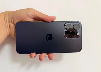 平湖苹果维修点分享iPhone 14 Pro Max黑屏少见故障盘点 